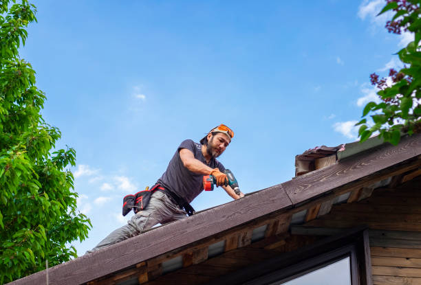 Best Gutter Installation and Repair  in Van, TX