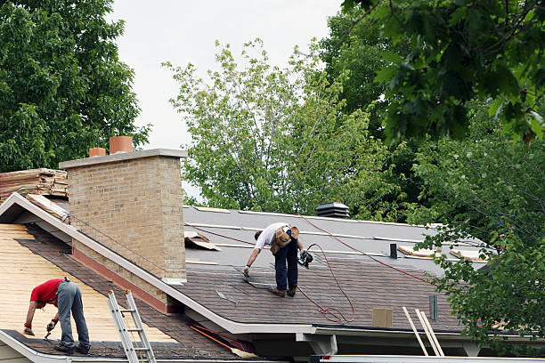 Best Roof Moss and Algae Removal  in Van, TX